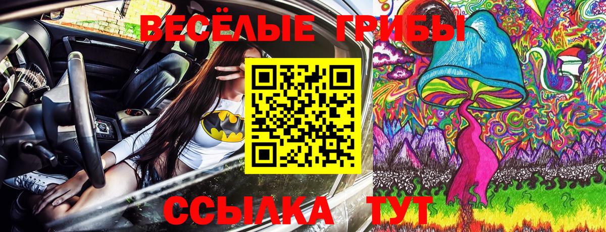 Галлюциногенные грибы GOLDEN TEACHER  Вход с VPN  где купить   Советск 